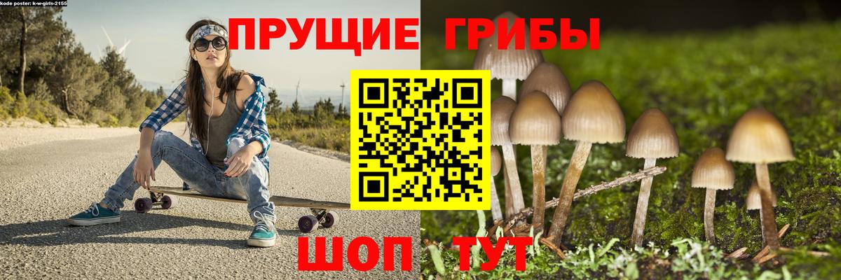 как найти закладки  Вход с VPN  Изобильный  Псилоцибиновые грибы мицелий  Галлюциногенные грибы прущие грибы 
