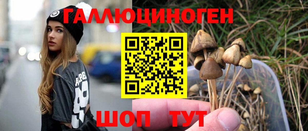 Псилоцибиновые грибы Psilocybine cubensis Изобильный