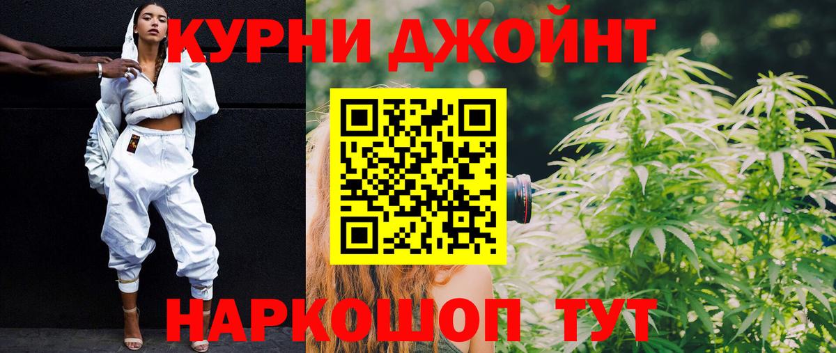 Конопля планчик Изобильный
